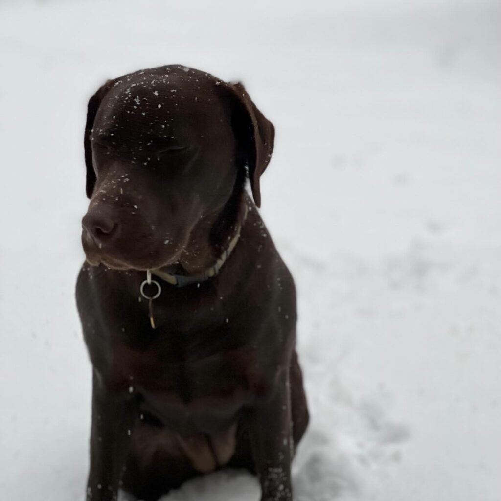 Instagram post from stratacomm. This post is in position 6.