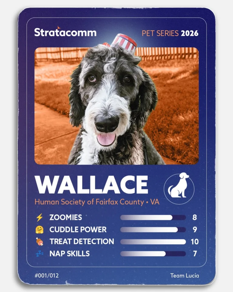 Instagram post from stratacomm. This post is in position 1.