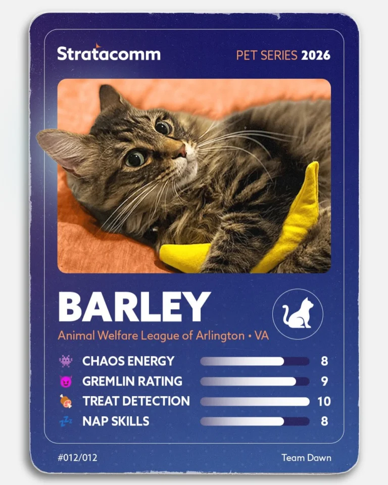 Instagram post from stratacomm. This post is in position 12.