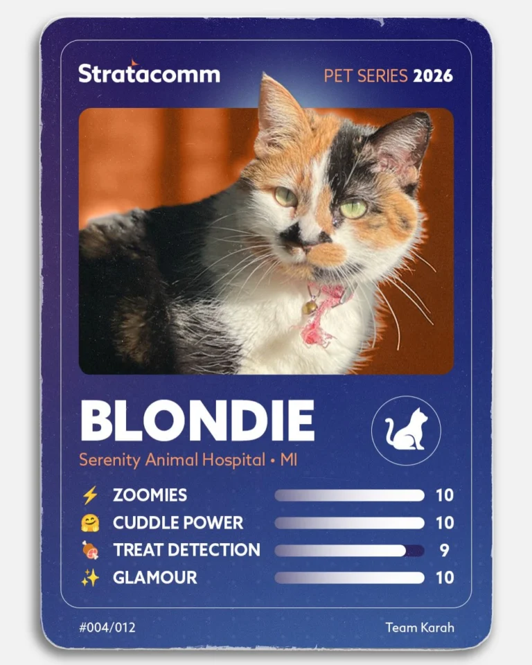 Instagram post from stratacomm. This post is in position 4.