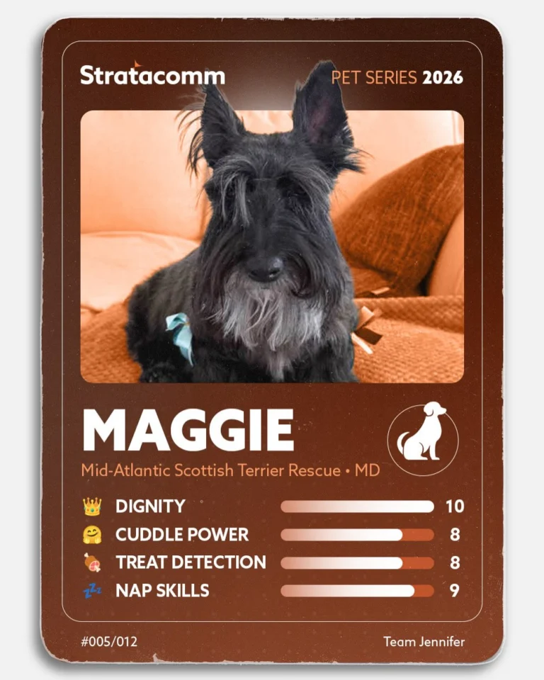 Instagram post from stratacomm. This post is in position 5.
