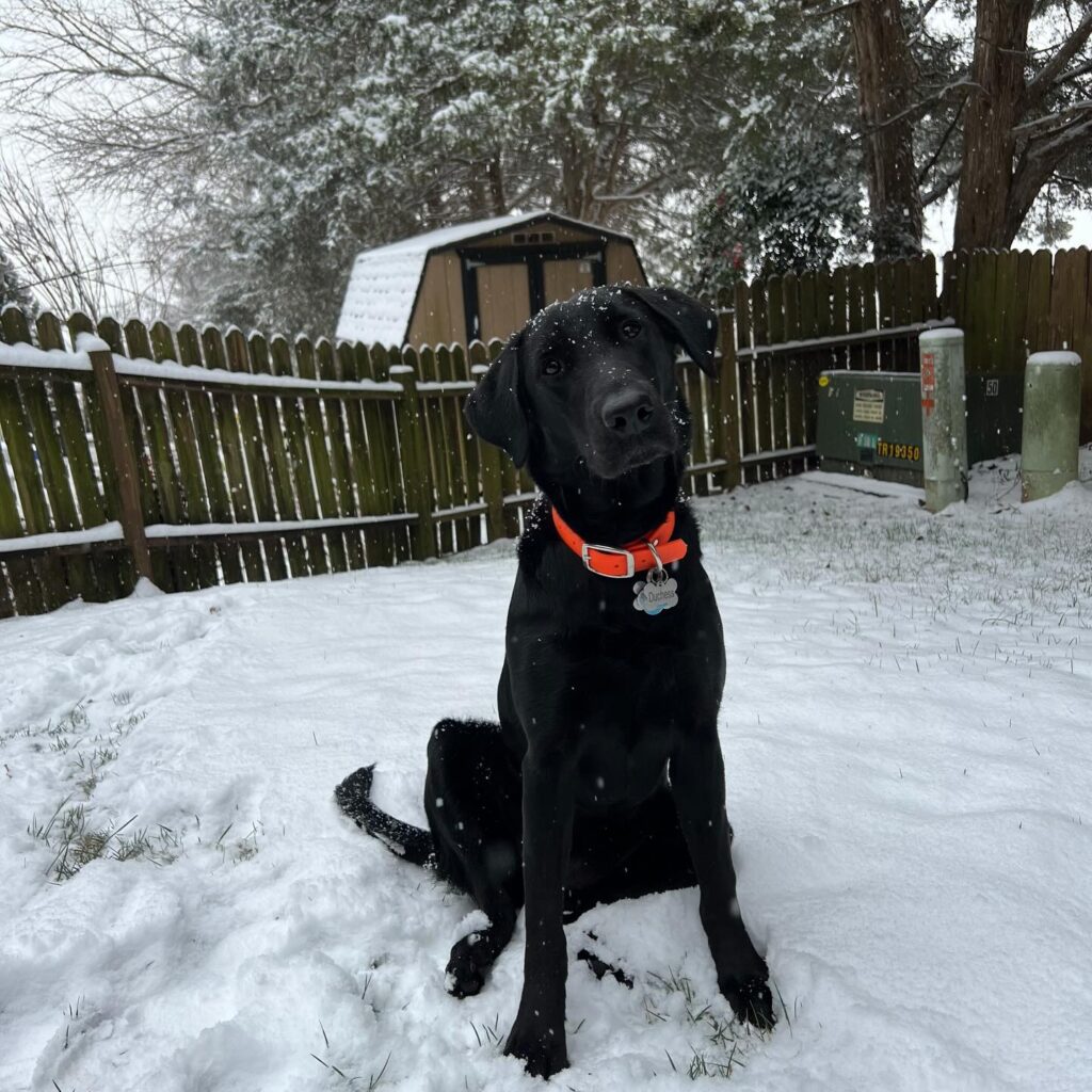 Instagram post from stratacomm. This post is in position 1.