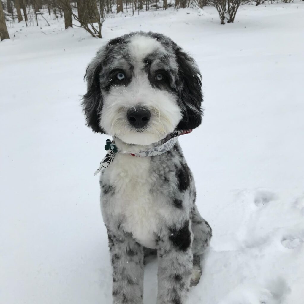 Instagram post from stratacomm. This post is in position 2.