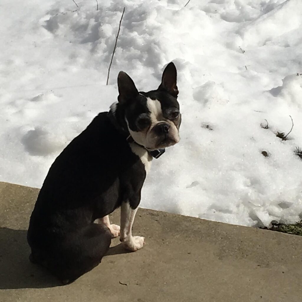 Instagram post from stratacomm. This post is in position 7.