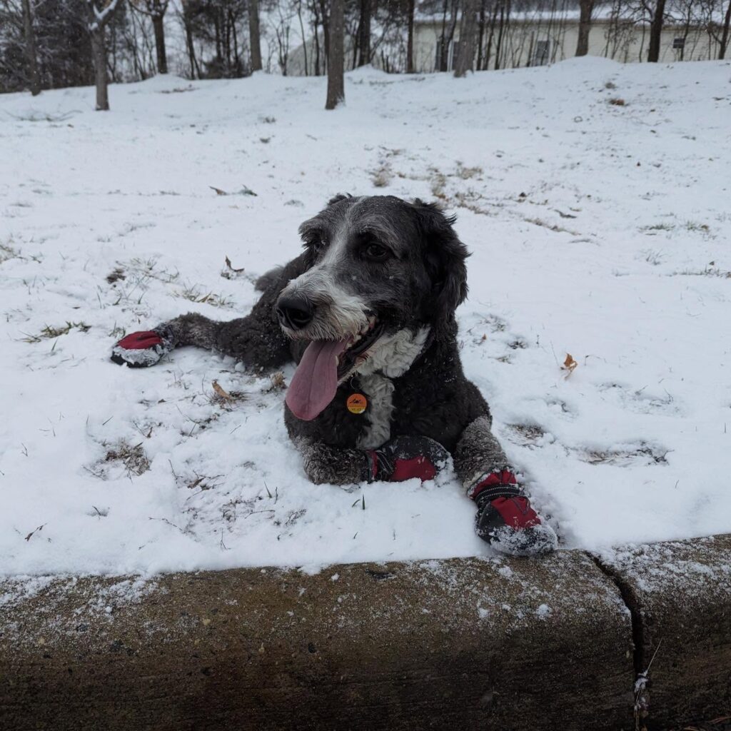 Instagram post from stratacomm. This post is in position 5.