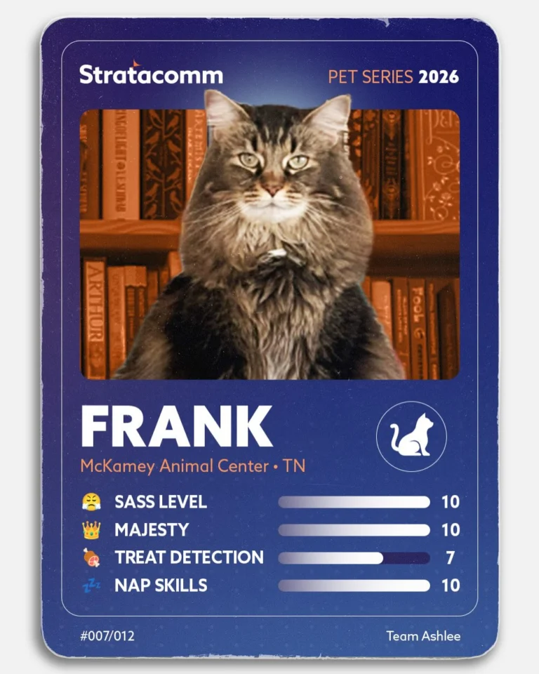 Instagram post from stratacomm. This post is in position 7.