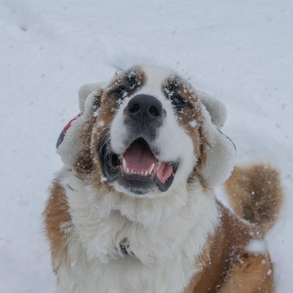 Instagram post from stratacomm. This post is in position 0.