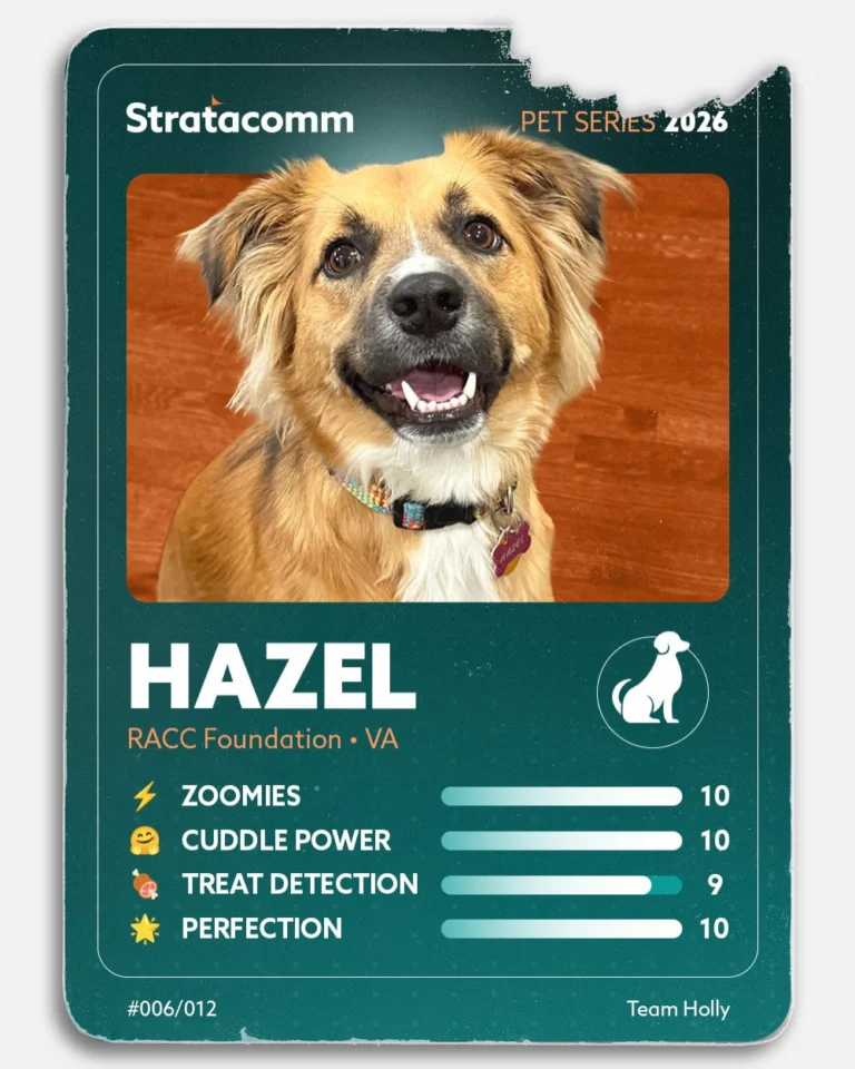 Instagram post from stratacomm. This post is in position 6.