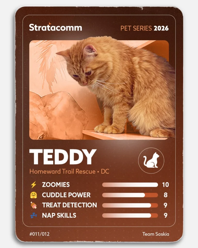 Instagram post from stratacomm. This post is in position 11.