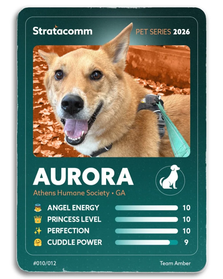 Instagram post from stratacomm. This post is in position 10.