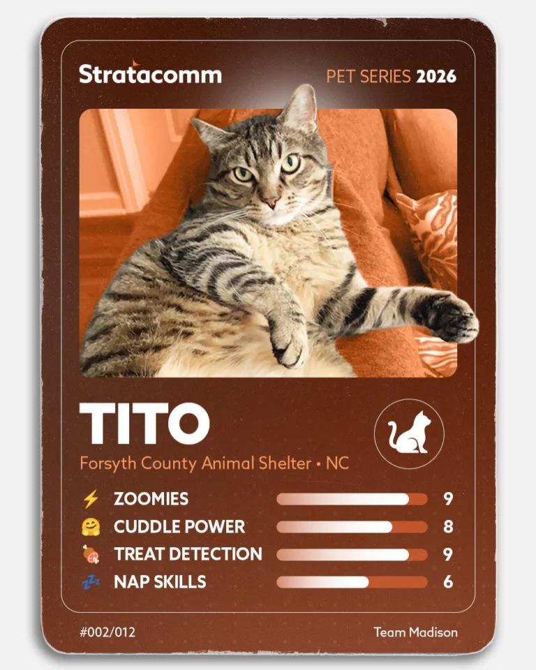 Instagram post from stratacomm. This post is in position 2.